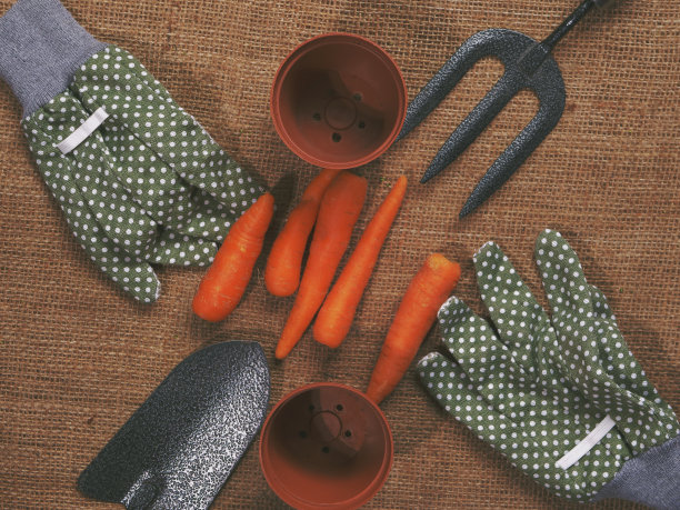 粗麻布背景上的有机蔬菜图片下载