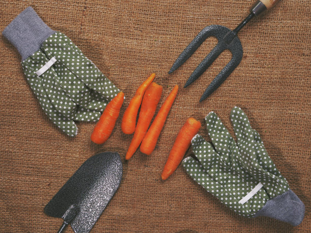 粗麻布背景上的有机蔬菜图片下载