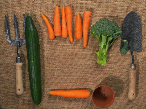 有机新鲜蔬菜粗麻布背景图片下载