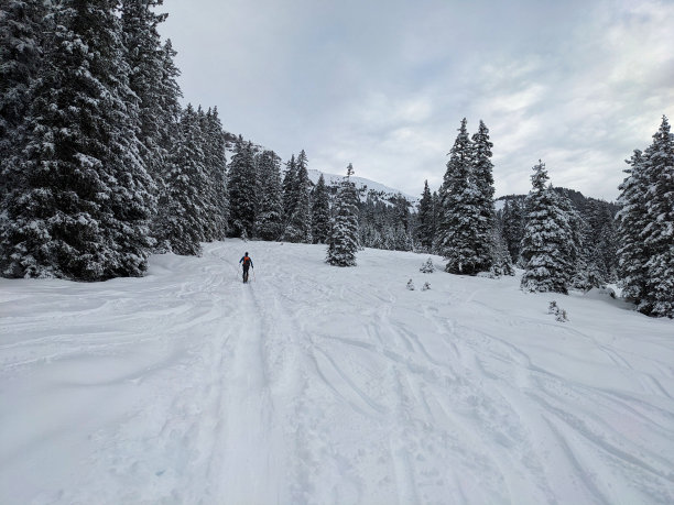 格拉鲁斯阿尔卑斯山滑雪之旅。从Weissenberg到Fuggstock。穿过刚被雪覆盖的森林到达山顶。飞掠在AlpsHigh质量照片。图片下载