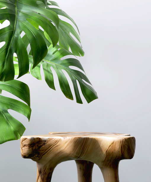 现代，简约和豪华的圆形木制台子与热带Monstera在白色锅斑驳的阳光和米黄色墙壁上的叶影图片下载