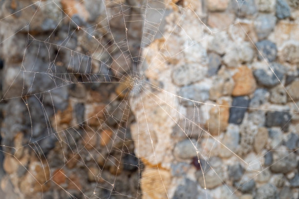 石头背景上的蜘蛛网。背景，图案，纹理。图片下载