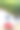菜园里的浆果图片下载
