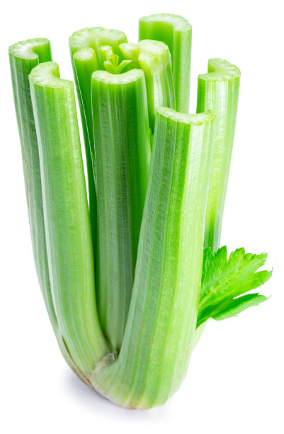 芹菜茎孤立在白色背景上。图片下载