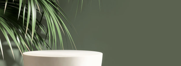 简约、现代的哑光白色圆石平台，阳光下的热带棕榈树在深绿色的墙壁上图片下载