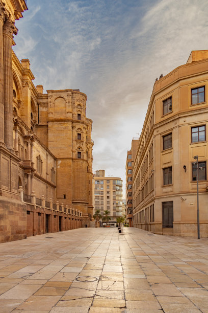 清晨马拉加空无一人的街道。西班牙马拉加，阳光下的老城街树图片下载