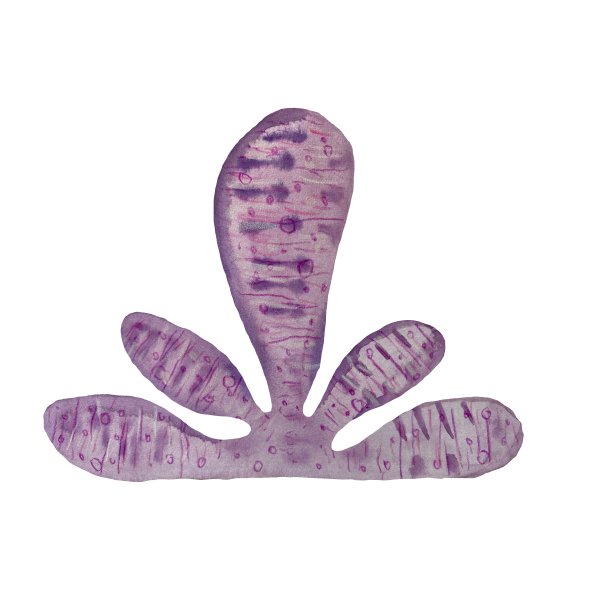 花紫罗兰海洋海洋水彩画插图图片下载