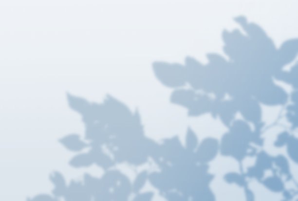 美丽的树影背景插图图片下载