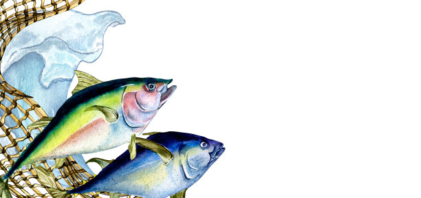 横幅蓝色金枪鱼和渔网水彩插图孤立在白色。图片下载