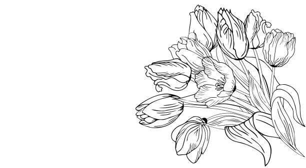 美丽逼真的花朵，郁金香。这幅构图是用手画的。伟大的想法，邀请，海报，卡片，背景，印刷和布局等。图片下载