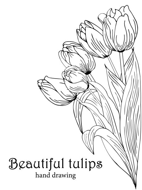 美丽逼真的花朵，郁金香。这幅构图是用手画的。伟大的想法，邀请，海报，卡片，背景，印刷和布局等。图片下载