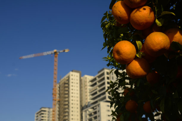 住宅区，高层现代公寓楼，建筑起重机图片下载
