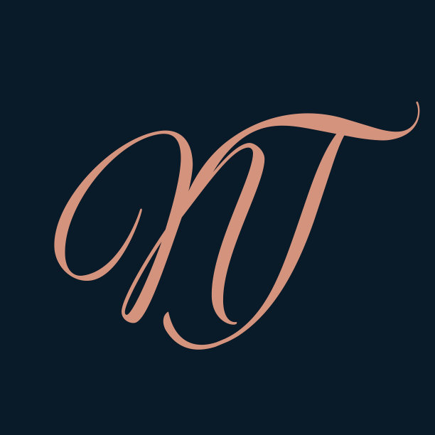NT字母标志。交织的大写字母n，字母t装饰签名字符。书法字母缩写。图片下载