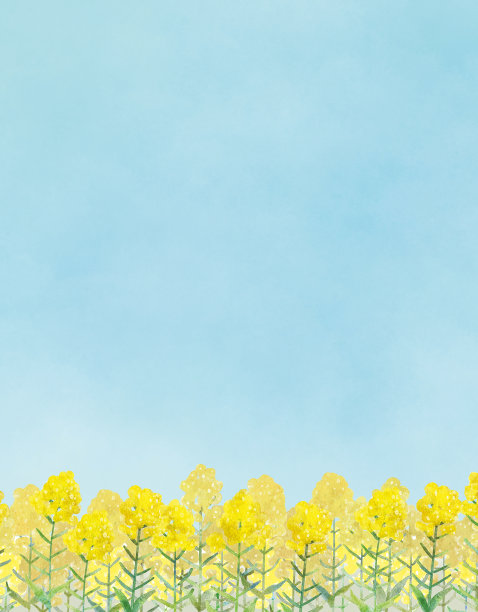 水彩背景插图的天空和油菜花田图片下载