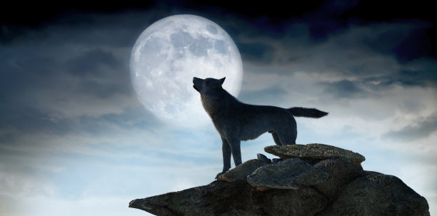 狼在满月嚎叫的剪影3d渲染图片下载