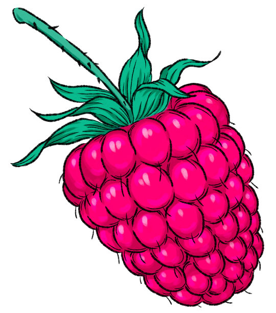 在白色背景隔离的覆盆子数字绘图图片下载