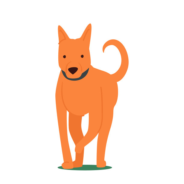 可爱的狗，可爱的金色小狗与顽皮的表情运行前视图孤立的白色背景。快乐的宠物图片下载