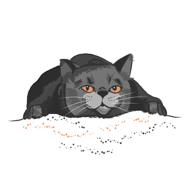 灰色的猫与橙色的眼睛在白色背景与点图片下载