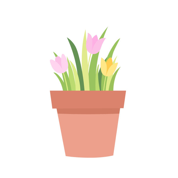 可爱的手绘仙人掌图片下载