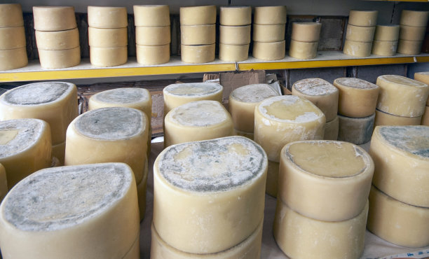 著名的传统切达奶酪卷在卡尔斯土耳其图片下载