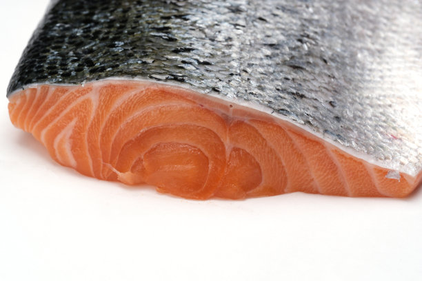 大马哈鱼鱼图片下载