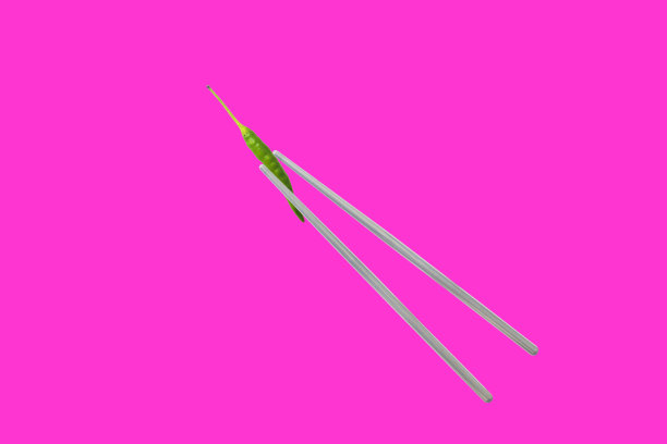 青椒和筷子图片下载