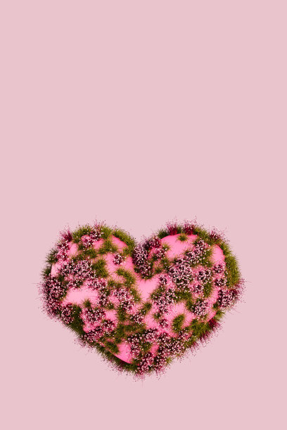 开花的粉红心图片下载