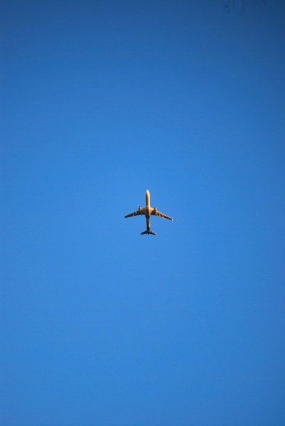 白色的飞机在蓝色的天空中飞行图片下载