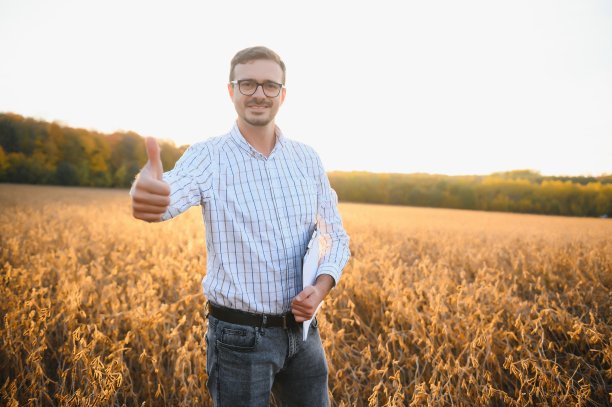 农学家或农民正在检查大豆田的作物图片下载