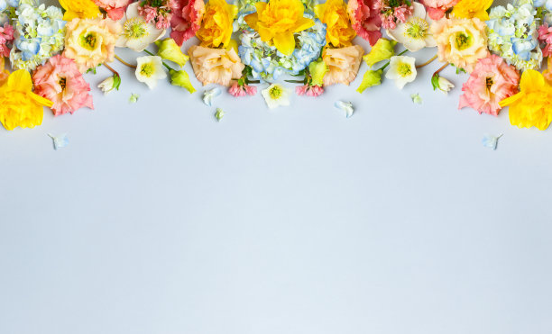 复活节构图与春天的花朵在柔和的蓝色背景。图片下载