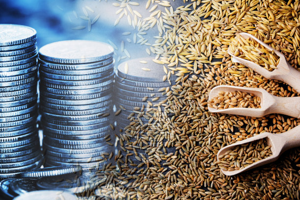燕麦价格背景。即将到来的粮食危机。小麦价格上涨。食品成本背景。农业发展。粮价高。库存食品市场业务。图片下载