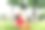 白天，母亲和女儿在公园的草地上做瑜伽练习。人们在户外玩耍。友好的家庭和暑假的概念。图片下载