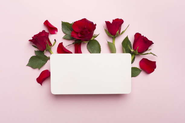 贺卡模型与红玫瑰的颜色背景，俯视图图片下载