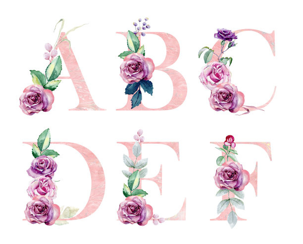 水彩画花卉字母。图片下载