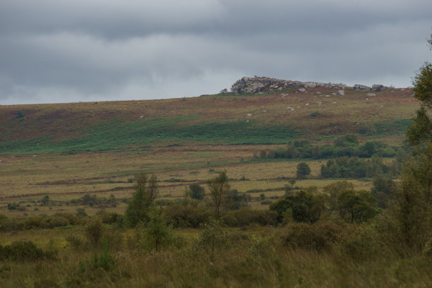 美丽的绿色荒野景观与野生草地石南和岩石山，自然公园区域达莫里克，布列塔尼，法国图片下载