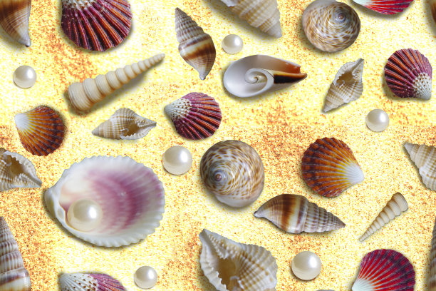 贝壳无缝图案。背景来自贝壳。图片下载