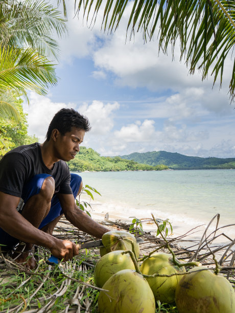 年轻的亚洲渔民在菲律宾的一个热带岛屿上打开椰子的垂直照片。真正的人，传统的工作图片下载