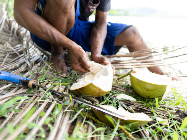 一个年轻的菲律宾渔民在菲律宾的一个热带岛屿上吃椰子的手。真正的人，传统的工作图片下载