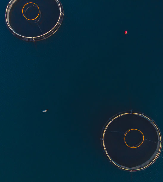 无人机俯瞰亚得里亚海鱼类养殖场网箱图片下载