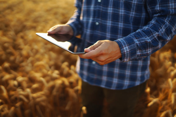 农民拿着平板在田里。农业，园艺或生态概念。收割。农业业务。图片下载