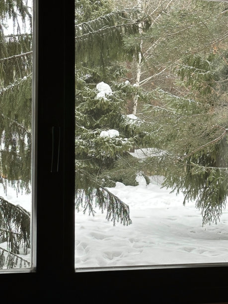 照片从窗口向滑雪场和冬天的森林图片下载