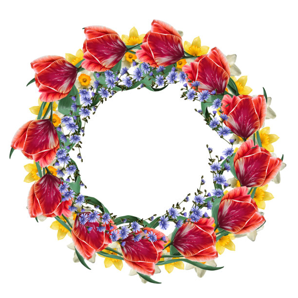 框架的红色郁金香和菊苣徒手画图片下载