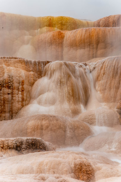 黄石国家公园的温泉特写图片下载