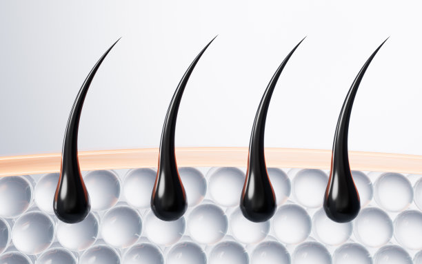 浓密的头发和皮肤，头发治疗概念，3d渲染。图片下载