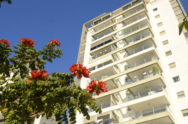 美丽街区：白色高层现代住宅楼图片下载