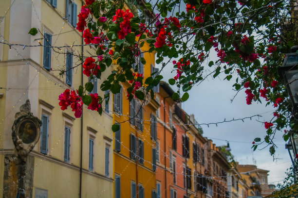 罗马的花街图片下载