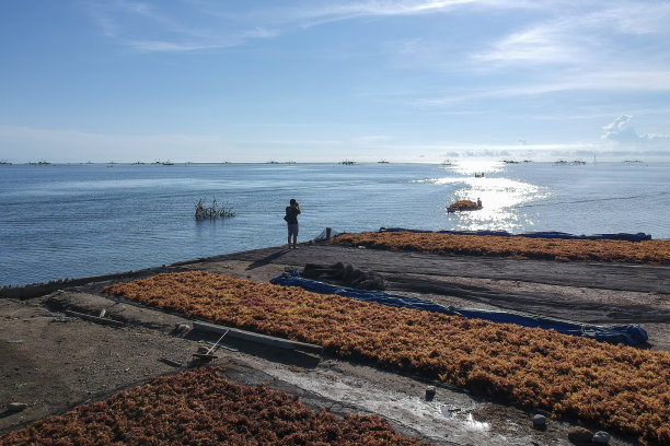 近距离拍摄海藻农场上一个男人的剪影，在帕洛洛海拍摄一艘船图片下载
