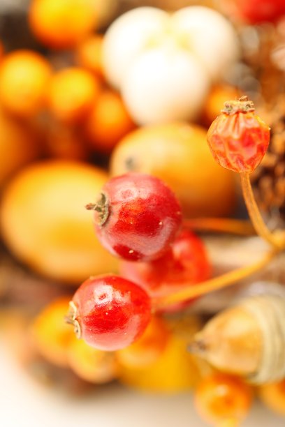 可爱的秋冬圣诞花环与许多坚果图片下载