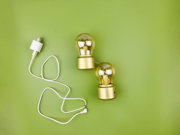 金色的小灯泡和充电线作为节约能源的象征，在浅绿色的背景上反射图片下载