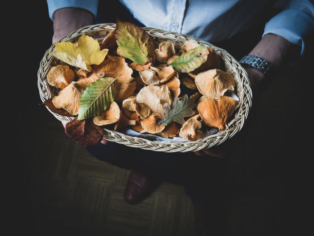 鸡油菌在篮子里图片下载